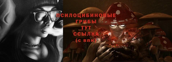 прущие крисы Каменногорск
