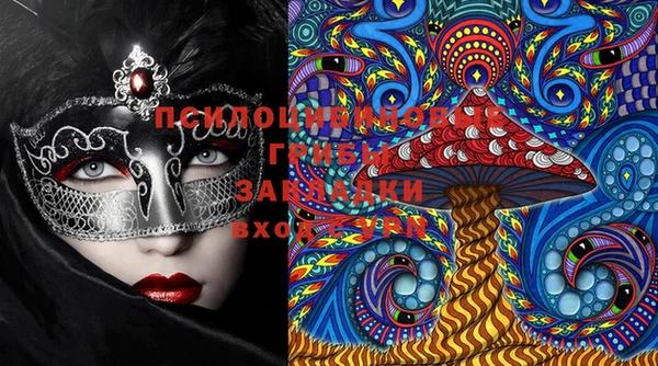 прущие крисы Каменногорск