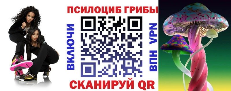 Купить закладки  Карачев  Галлюциногенные грибы прущие грибы 